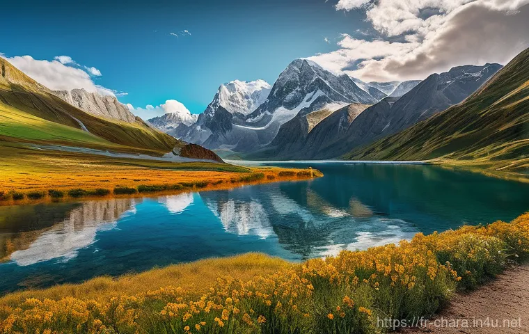 캐릭터디자인 자격증 실기 시험 성공 사례 - Here are three detailed image generation prompts in English: