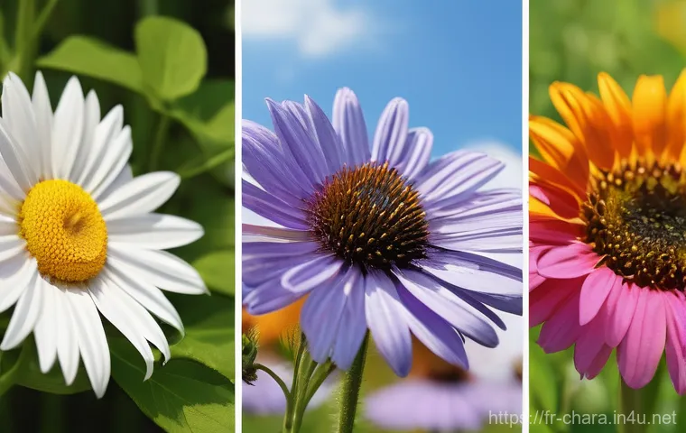 캐릭터디자인 자격증 시험과 관련된 최신 규정 - Here are three detailed image generation prompts in English, adhering to your guidelines: